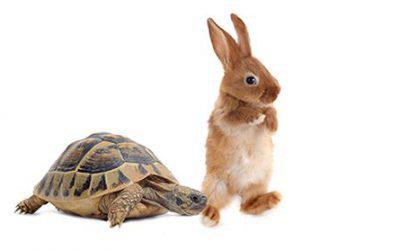 6 tips to speed along a veterinary practice sale